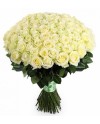 101 white roses