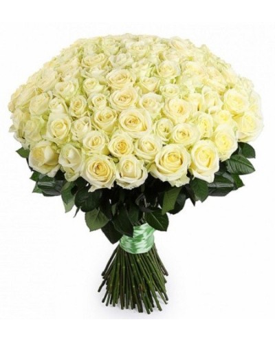 101 white roses