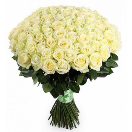 101 white roses