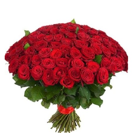 151 red roses
