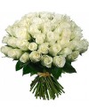 51 White Roses