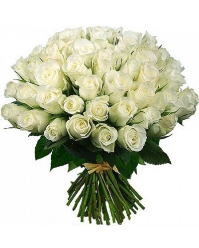 51 White Roses