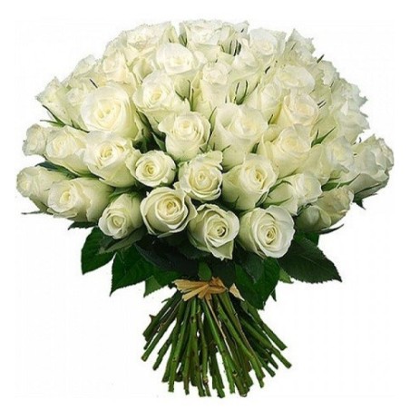 51 White Roses
