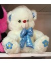 Good Luck Teddy