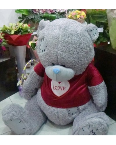 Teddy Bear 0022