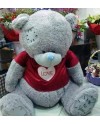 Teddy Bear 0022