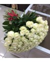 101 white roses