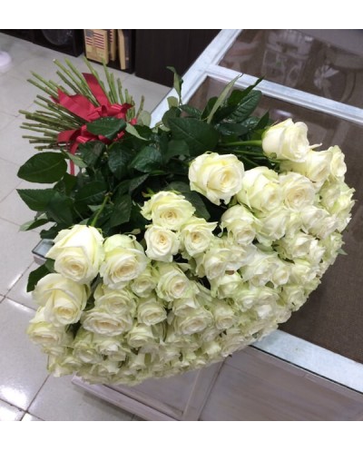 101 white roses