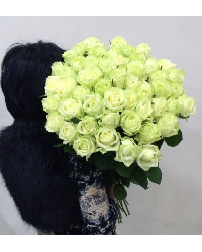 51 White Roses
