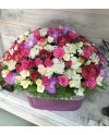 Mixed Blossoms