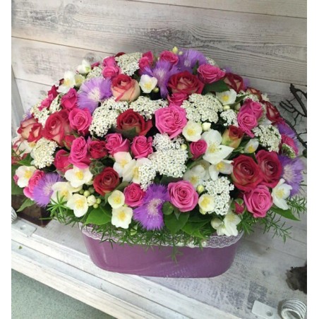 Mixed Blossoms