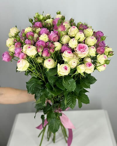 Pink & White Spray Roses