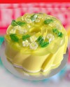 Jelly Cake-012