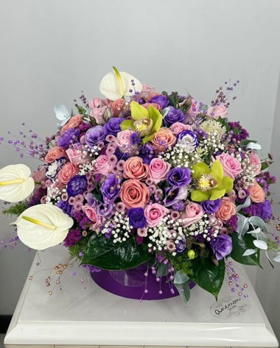 Beautiful Dream