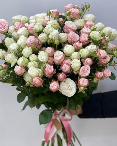 White and Pink Spray Roses
