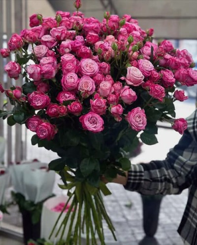 Pink Spray Roses