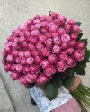 101 Purple Roses