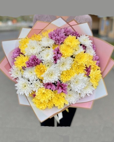 Colorful Chrysantems