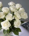 White Naomi-70cm