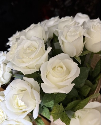 White Naomi-70cm