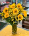 Sunflowers plus