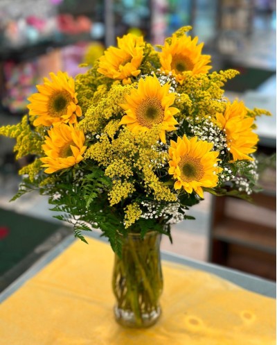 Sunflowers plus