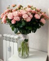Pink Spray Roses