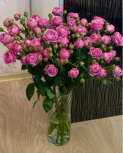 Purple Spray roses