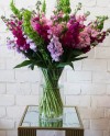 Colorful Snapdragons