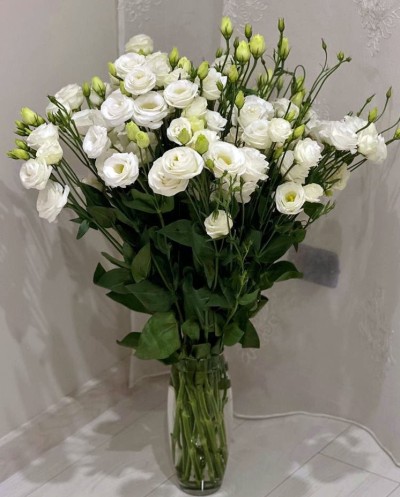 White Lisianthuses in Vase