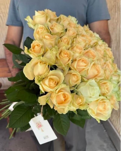51 Peach Roses