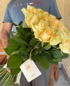51 Peach Roses