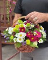 Beautiful Seasonal Blooms