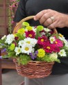 Beautiful Seasonal Blooms