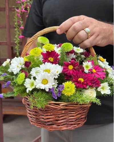 Beautiful Seasonal Blooms