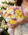 Colorful Chrysantems