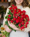 Red Spray Roses