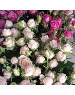 Flowers per Stems Tulips Roses Orchids